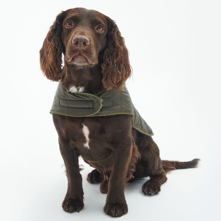 BARBOUR Baffle Quilted Dog Coat In Dark Olive | Collen & Clare New