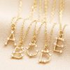 LISA ANGEL D Initial Crystal Constellation Necklace In Gold | Collen & Clare Hot