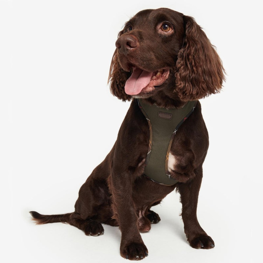 BARBOUR Comfort Dog Harness In Olive | Collen And Clare Online