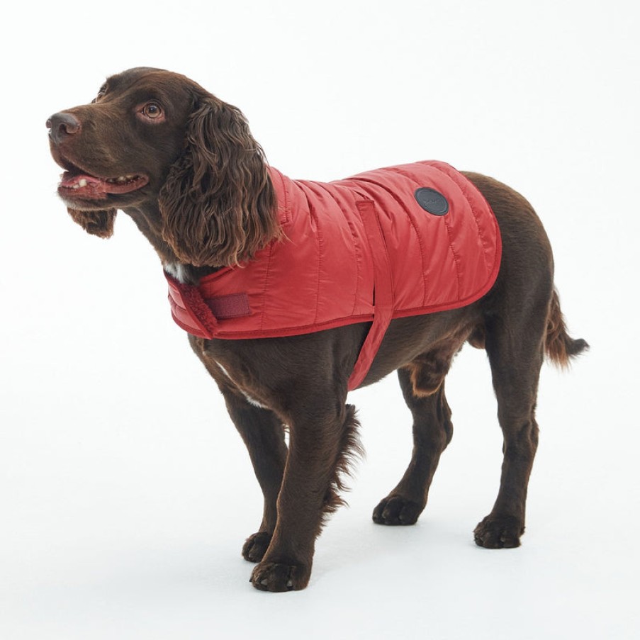 BARBOUR Baffle Quilted Dog Coat In Wine | Collen & Clare Online